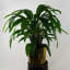 60cm Faux Plant in Pot Liner