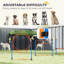 Ensemble de dressage pour chien