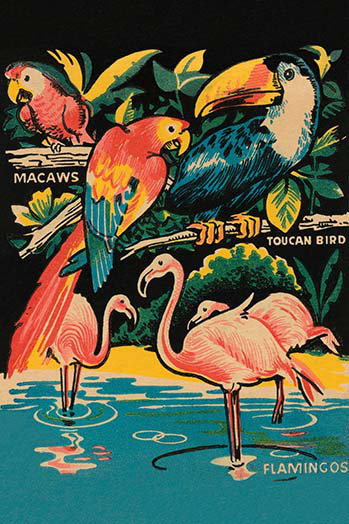 « tropical hobbyland-oiseaux », impression, 42" H x 28" W