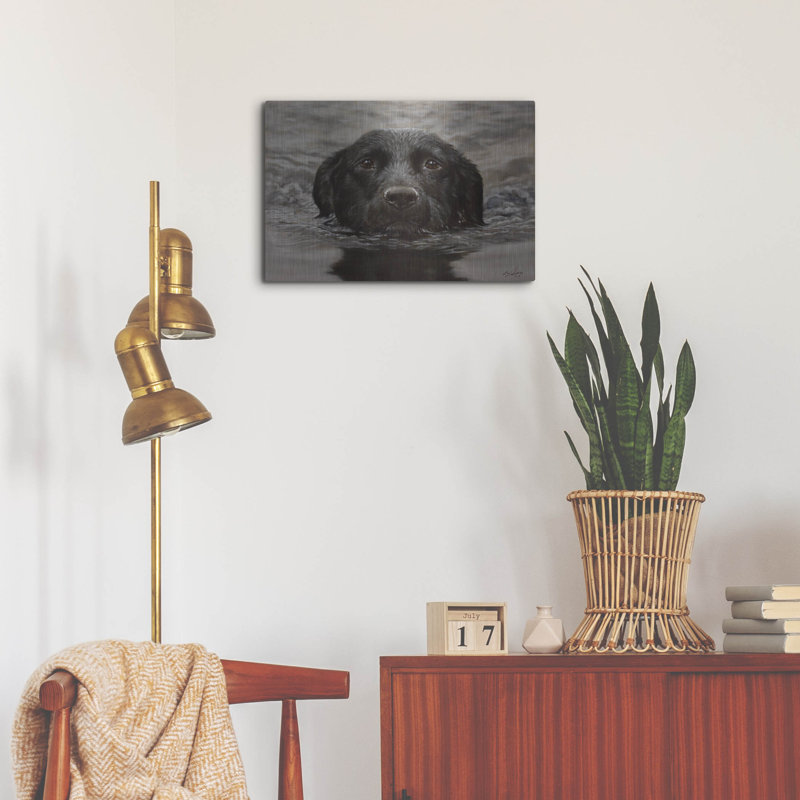 «Dog Shark» par John Silver