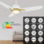 Ventilateur de plafond intelligent 52 po avec télécommande Tilbury, ensemble d'éclairage inclus, fonctionne avec l'assistant Google et Amazon Alexa, raccourci Siri.-780968805-751949755