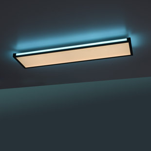 Flush Mounted Ceiling Light Single Flame