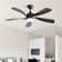 Whisper 52" 5 ABS Blade Propeller Classic Ceiling Fan with LED Lights and Remote Control
