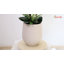 Arrangement floral orchidée dans un vase - Fleurs artificielles élégantes pour le bureau personnel-1832586028