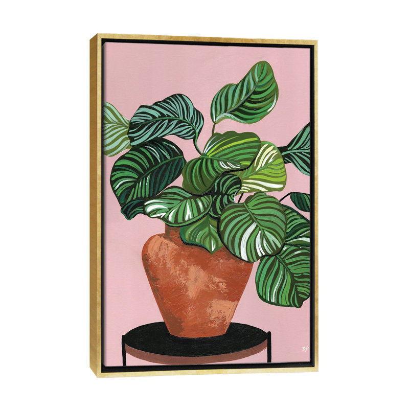 Impression d’art graphique Calatheas par Bria Nicole, H 26 po x l 18 po x 1,5 po, Toile encadrée d'or, Pas de tapis