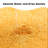 Avanel Microfiber / Microsuede Non-Slip Bath Rug