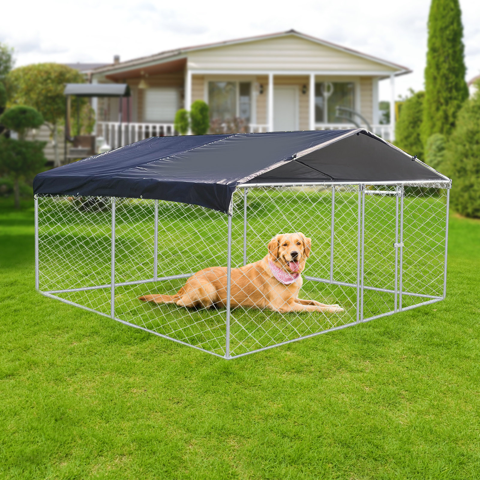 Jarbalai 66'' H Galvanized Steel Yard Kennel With Door | Wayfair