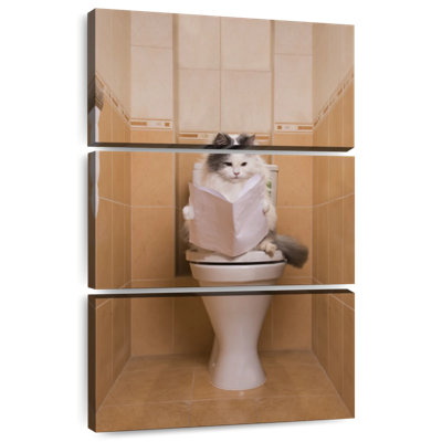Ketti Cat On The Toilet