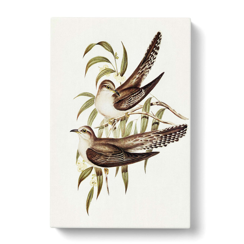 Unadorned Cuckoos by Elizabeth Gould - Wrapped Canvas Painting, 76cm H x 50cm W x 3cm D