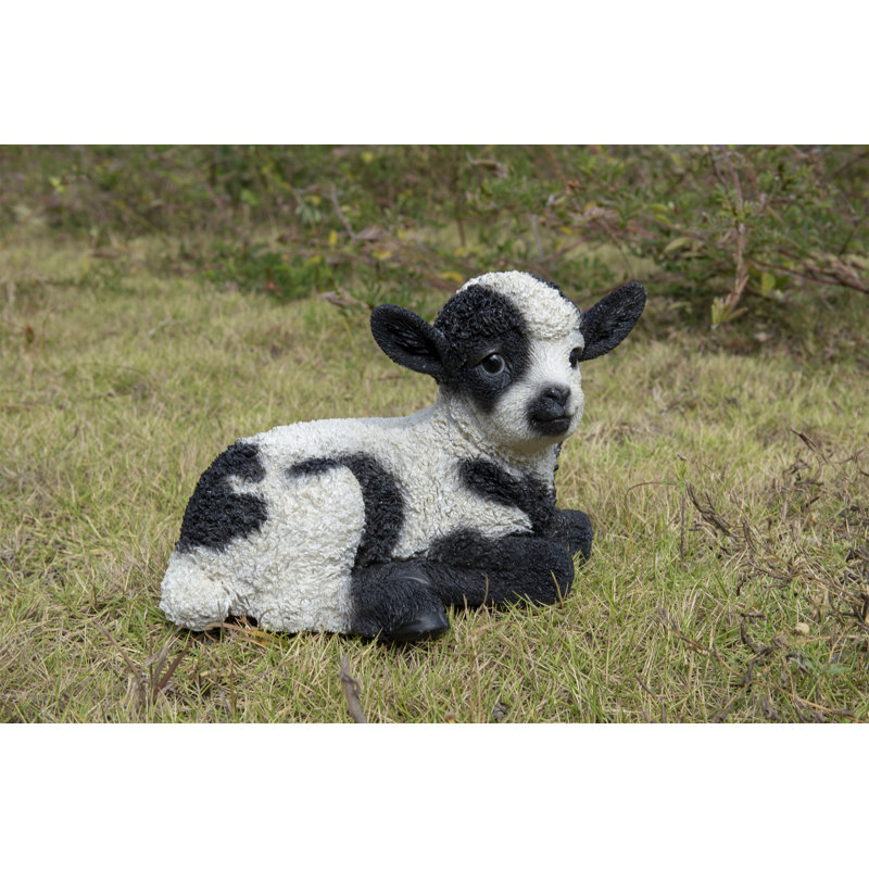 Bébé agneau couché, Noir