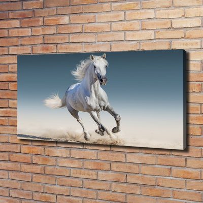 White Horse in Gallop 1 Piece Wrapped Canvas Wall Art