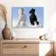 Chevaux frison d'hiver-107471580