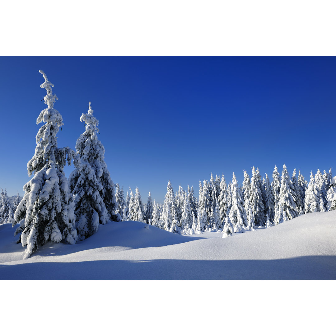 Wilde Winterlandschaft von AVTG - Drucken