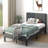 Jabir Upholstered Platform Bed