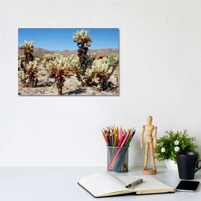 Cholla Cactus by Brian Wolf - Wrapped Canvas Print