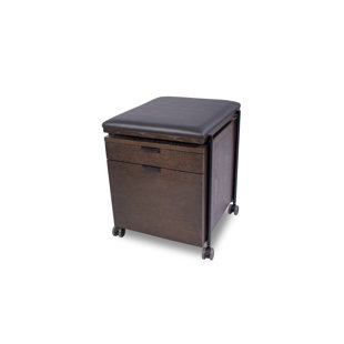 https://assets.wfcdn.com/im/43838451/resize-h310-w310%5Ecompr-r85/2409/240972549/carmel-2-drawer-file-cabinet.jpg