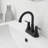 Widespread Single-handle Bathroom Faucet with Drain Assembly-86864995