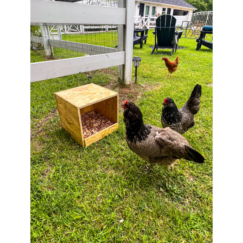 Zylina Natural Wood Single Nesting Box for Hens