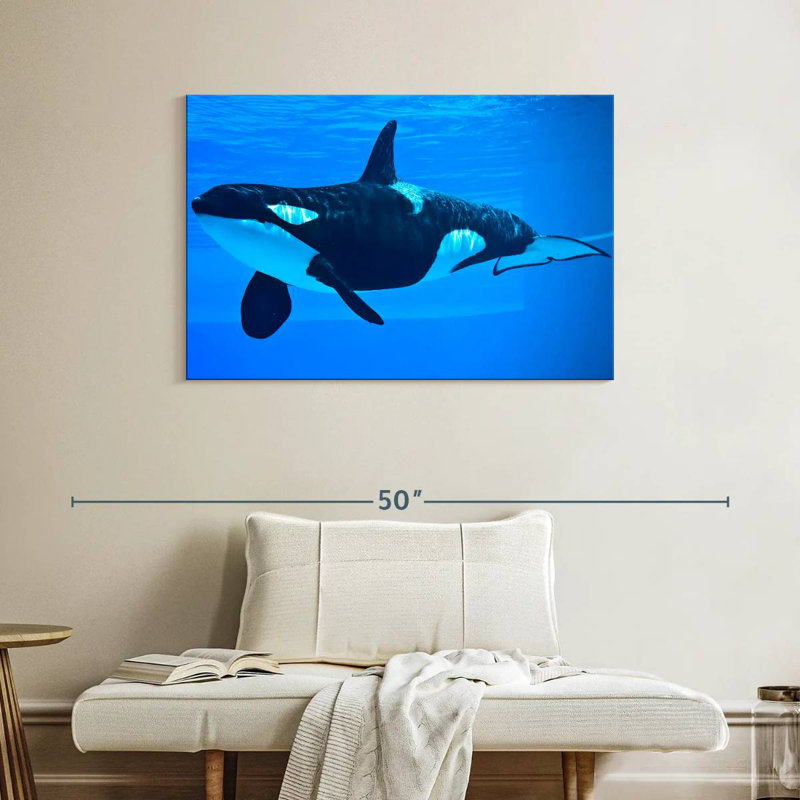Brampt Friendly Killer Whale, 26" H x 39" W