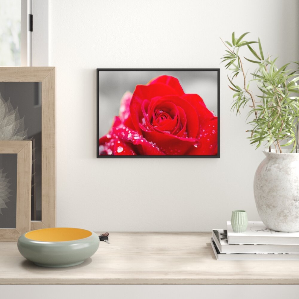 Gerahmtes Wandbild Rose mit Wassertropfen