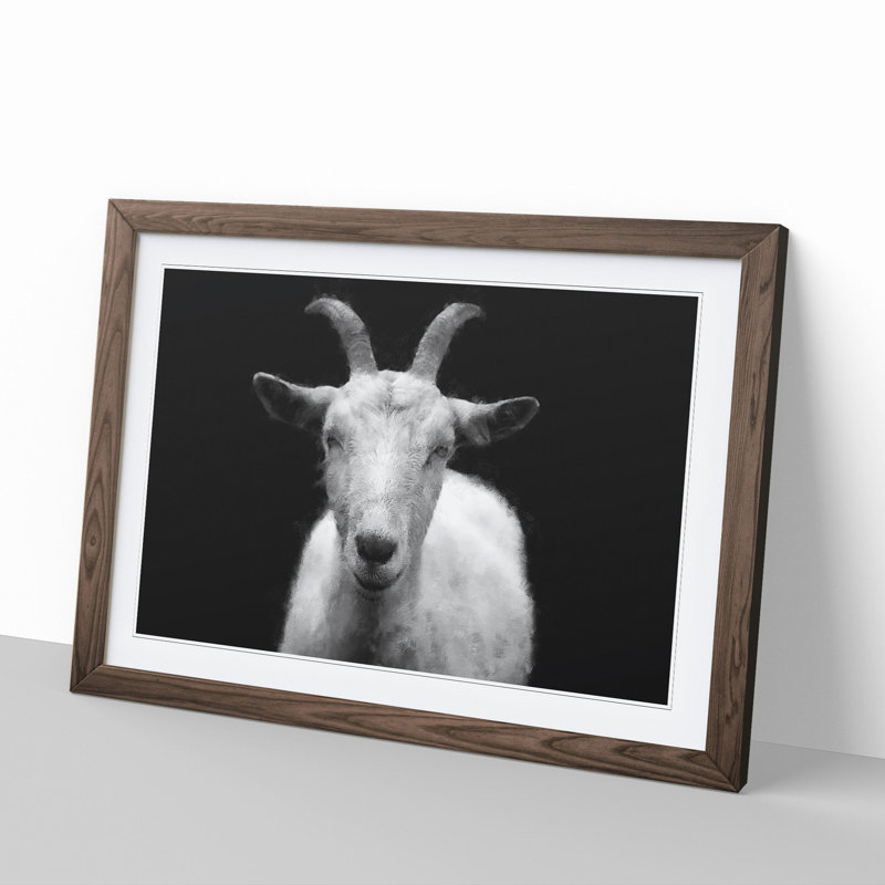 White Goat Vol.2 Painting - Picture Frame Graphic Art, Walnut, 27cm H x 36cm W x 2cm D