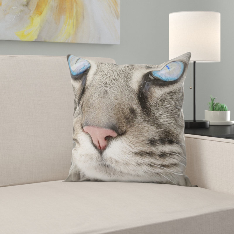 Coussin pour chat