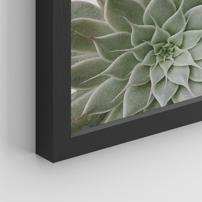 " Desert Succulent Close Up Echeveria Green Flower ", 10" H x 8" W, Black