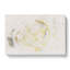 Crisp White Rose - Wrapped Canvas Print-56664105