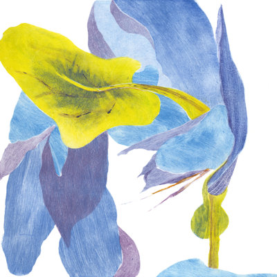 Surprise Indigo III by Carolyn Roth - Wrapped Canvas Painting