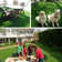 Artificial Grass Turf Rugs and Rolls Custom Size-Pet Friendly Astro Turfs with UV Resistant Drainage  Holes