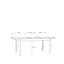 Bissonette Extendable Dining Table