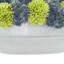 Assorted Sedum in Ceramic Pot