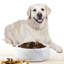 Gamelle pour chien en marbre naturel avec revêtement antidérapant-115997567-115997571