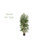 Bamboo Silk Tree-2024237258