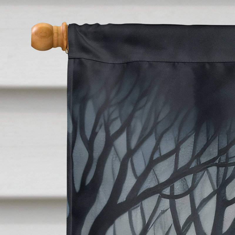 Double Sided 40'' H x 28'' W Polyester Halloween House Flag