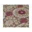 Hand-Knotted High-Quality Red and Beige Area Rug
