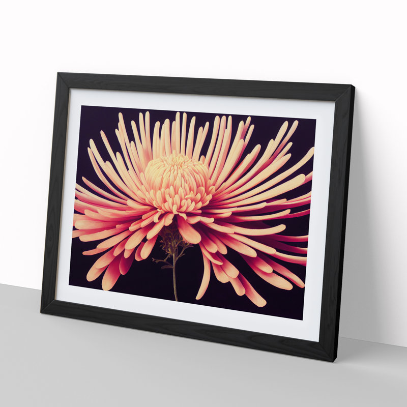 Lively Chrysanthemum Flower 1 Piece Single Picture Frame Wall Art, 34cm H x 46cm W x 2cm D, Black
