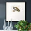 Plumage de paon encadré sur papier-88450874