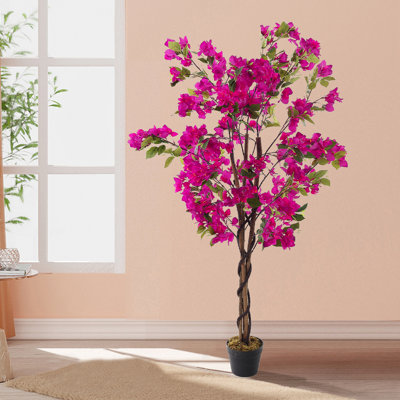 150cm Plant