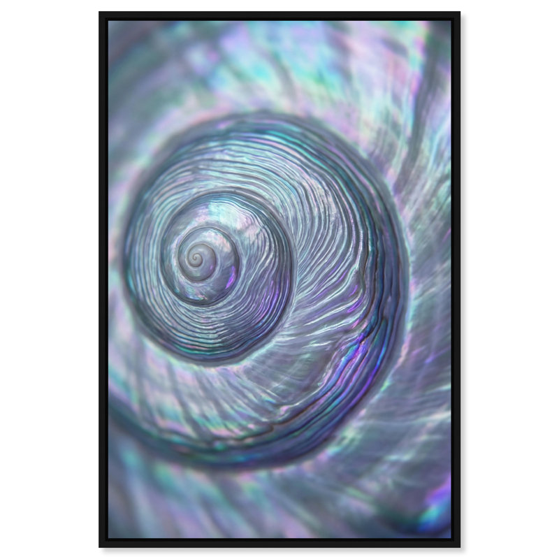Sea Spiral Print by Oliver Gal, 37"H x 25"W, Black Floater Frame