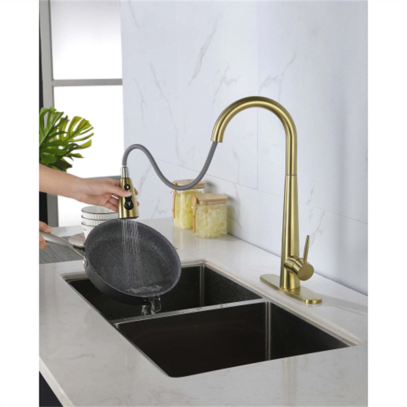 Red Cloud Pull Down Kitchen Faucet, Gold