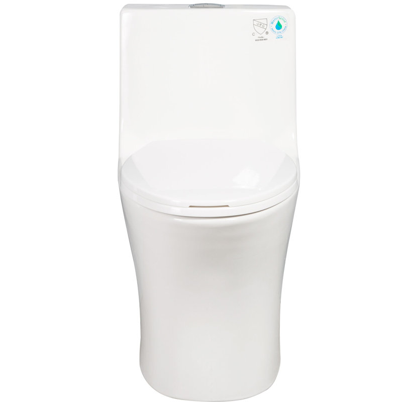 Toilette allongée à double chasse avec douchette brute de 12 po, 1,1 / 1,6 GPF économisant l'eau, 1000g CARTE, en céramique blanche élégante
