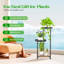 Plant Stand