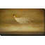 Freeform par - Peinture-929127989-929127996