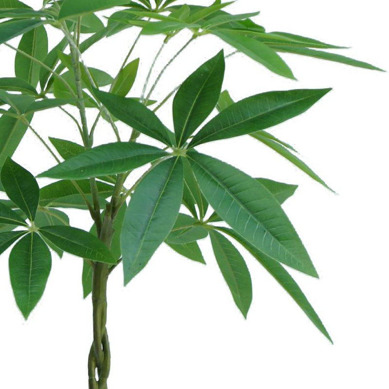 Annistyn 70cm Faux Money Tree in Pot