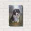 «Border Collie Puppy» par John Silver-1122714860