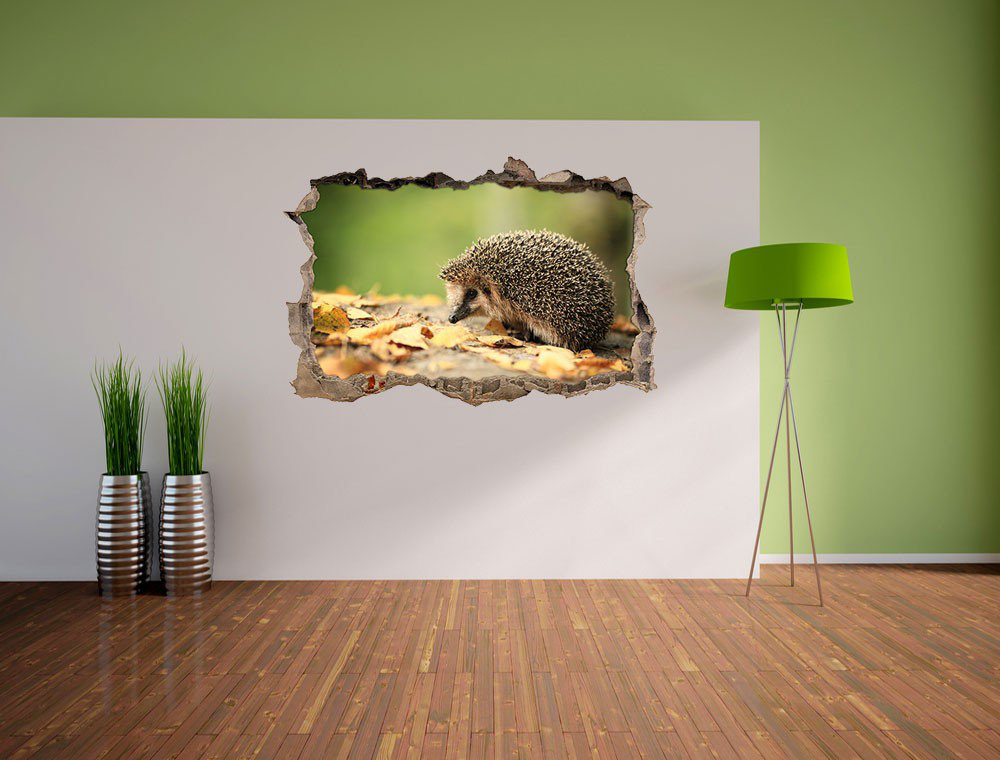 Niedlicher Igel im Laub Wandsticker