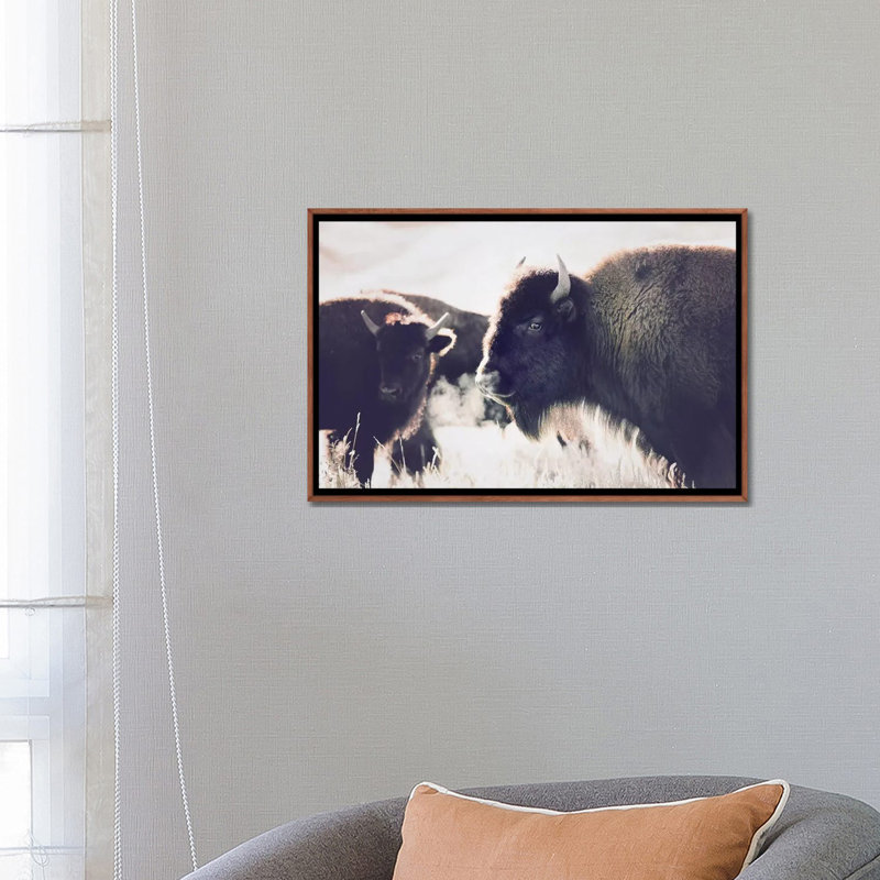Photographie buffalo, Toile tendue, H 18 po x l 26 po x P 1,5 po