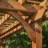 Backyard Discovery Beaumont 12' x 10' Cedar Wood Outdoor Patio Pergola Kit with Trellis Roof and PowerPort