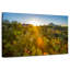 Harnek Cactus Desert Garden-107853981